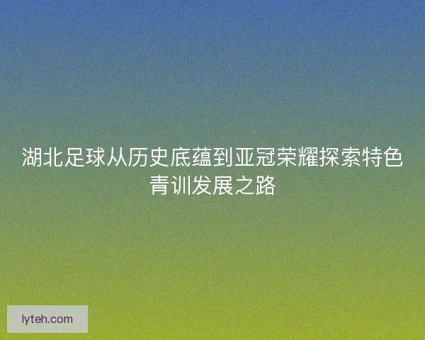 湖北足球从历史底蕴到亚冠荣耀探索特色青训发展之路